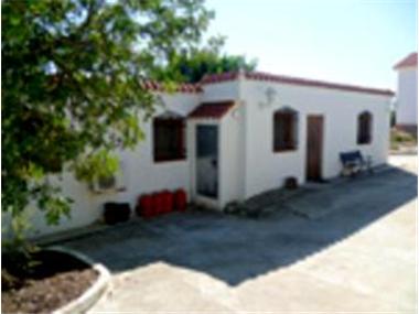 Miscellaneous for sale in Macastre (Valencia)