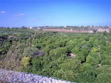 Plot Of Land for sale in Quelfes (Faro)