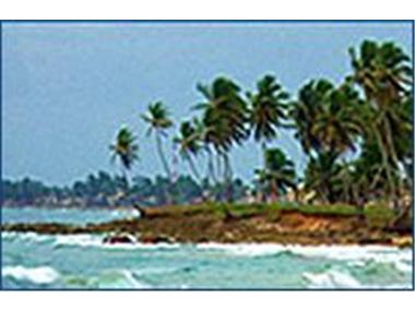 Land - Land (rural) for sale in Nagua (Maria Trinidad Sanchez)
