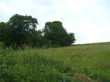 Land for sale in Nanteuil-en-Vallee (Poitou-Charentes)