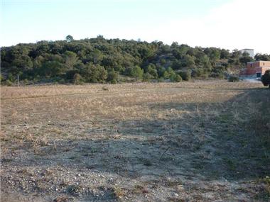 Land for sale in Saint-Jean-du-Pin (Languedoc-Roussillon)