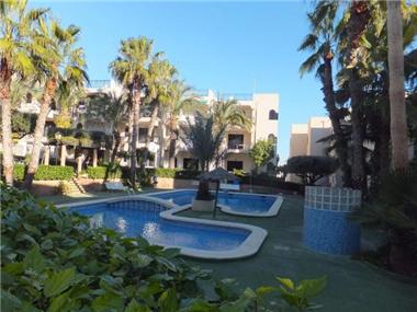 Apartment       for sale in La Mata (Valencia)