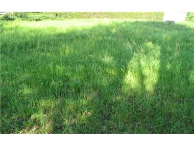 Land for sale in Laloubere (Midi-Pyrenees)
