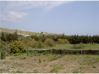 Plot Of Land for sale in Casares (Andalucia)
