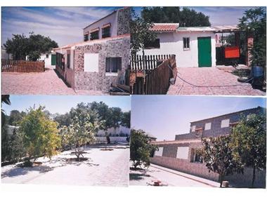 Agricultural for sale in Chiclana de la Frontera (Andalucia)