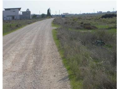Land for sale in Tersephanou (Larnaca)