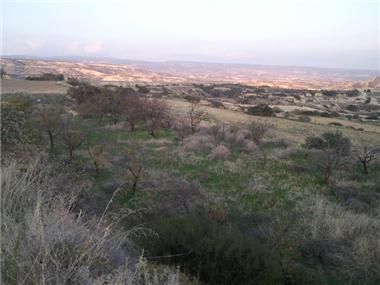 Land for sale in Pissouri (Limassol)