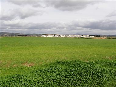 Land for sale in Mandria (Paphos)