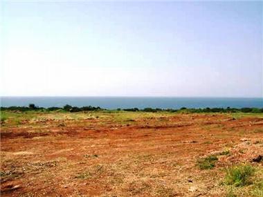 Land for sale in Peyia (Paphos)
