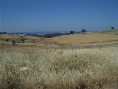 Land for sale in Souskiou (Paphos)