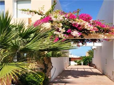 House/villa for sale in Prodhromi (Paphos)