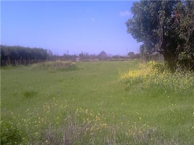 House/Villa for sale in Ypsonas (Limassol)