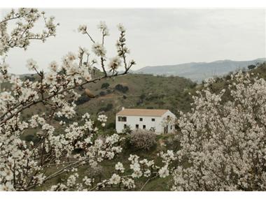 Villa for sale in Alora (Andalucia)