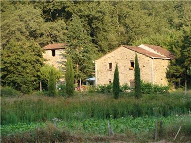 House/villa for sale in Poggioni (Tuscany)