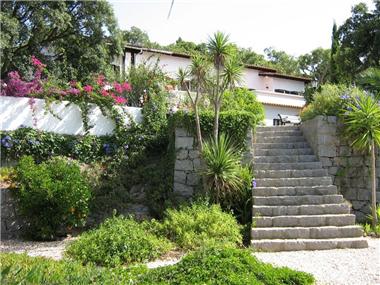 Commercial for sale in Monchique (Faro)