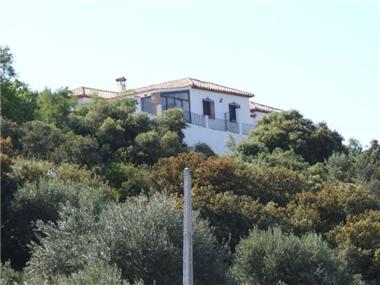 Commercial for sale in Ermita Nueva (Andalucia)