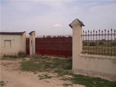 Land for sale in Elche (Valencia)