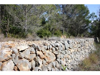 Land for sale in Alcalali (Valencia)