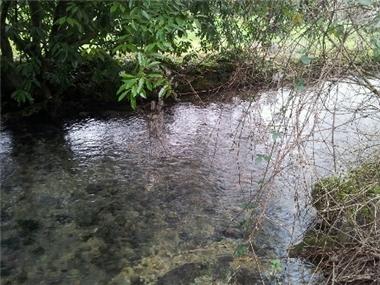 Land for sale in Ruffec (Poitou-Charentes)