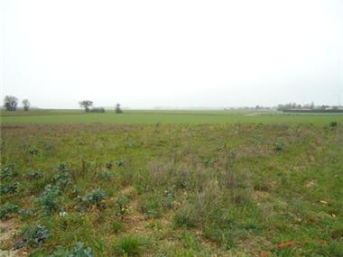 Land for sale in Ruffec (Poitou-Charentes)