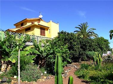 Miscellaneous for sale in Puerto de la Cruz (Canary Islands)