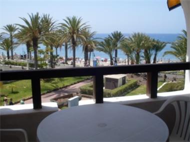 Miscellaneous for sale in Playa de las Americas (Canary Islands)
