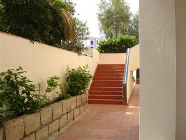 Miscellaneous for sale in Los Cristianos (Canary Islands)