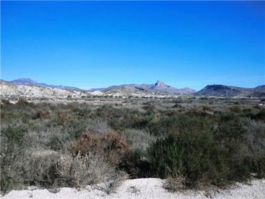 Miscellaneous for sale in Fortuna (Murcia)