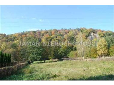 House for sale in Aleksandrowice (Lesser Poland Voivodeship)