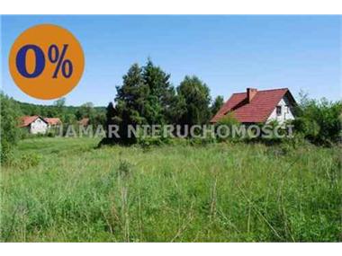 House for sale in Krzywaczka (Lesser Poland Voivodeship)