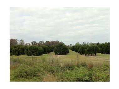 Land for sale in Orlando (Florida)