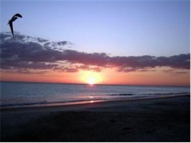 House/villa for sale in Naples (Florida)