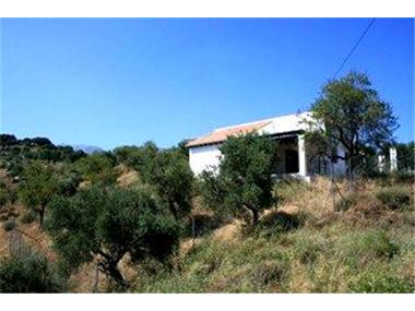 Finca for sale in Tolox (Andalucia)