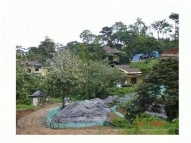 Commercial for sale in Bocas del Toro (Bocas del Toro)