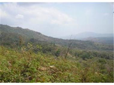 Commercial for sale in Playa Coronado (Panama)