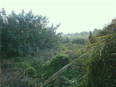 Land for sale in Luz (Faro)