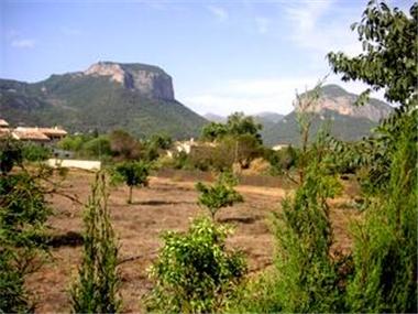 Land for sale in Alaro (Balearic Islands)