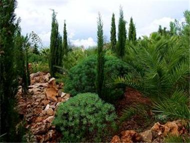 Country House for sale in Santanyi (Balearic Islands)