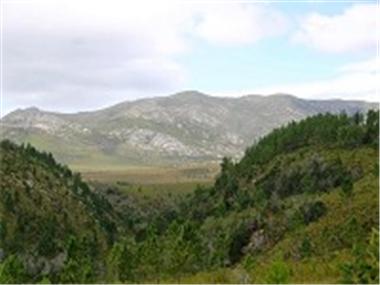 Land for sale in Kareedouw (Province of Eastern Cape)