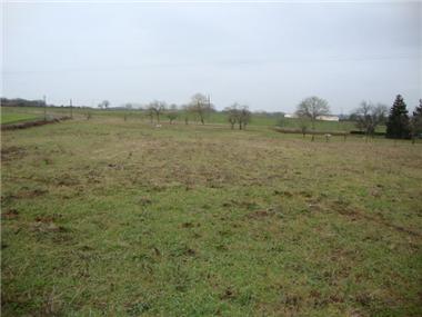 Land for sale in Jonzac (Poitou-Charentes)