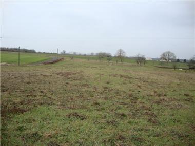 Land for sale in Jonzac (Poitou-Charentes)
