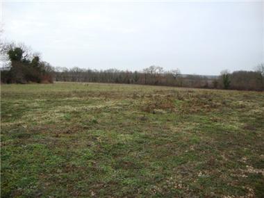 Land for sale in Jonzac (Poitou-Charentes)