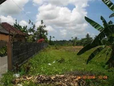 House/Villa for sale in Canggu (Bali)