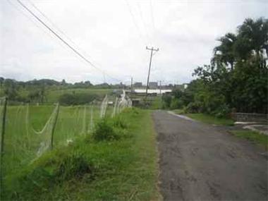 House/Villa for sale in Canggu (Bali)