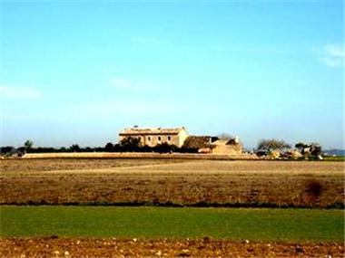 Finca for sale in Vilafranca de Bonany (Balearic Islands)