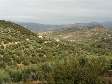 Country Property for sale in Martos (Andalucia)
