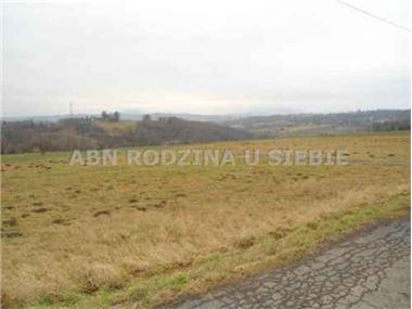 House/Villa for sale in Nizowa (Lesser Poland Voivodeship)