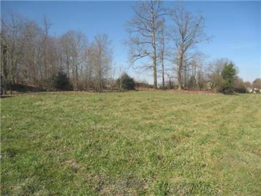Land for sale in Lourenties (Aquitaine)