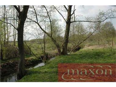House/Villa for sale in Nieborow (Lodz Voivodeship)