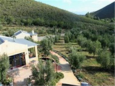 Land for sale in Robertson (Province of the Western Cape)